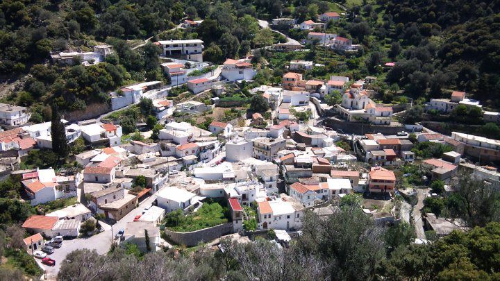 Εμπυρρίκιος Πλατάνια